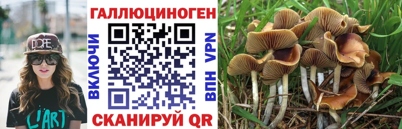 Псилоцибиновые грибы ЛСД  мега ТОР  Электрогорск 